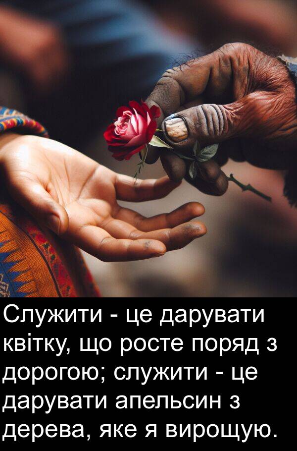 дерева: Служити - це дарувати квітку, що росте поряд з дорогою; служити - це дарувати апельсин з дерева, яке я вирощую.