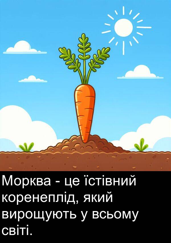 світі: Морква - це їстівний коренеплід, який вирощують у всьому світі.