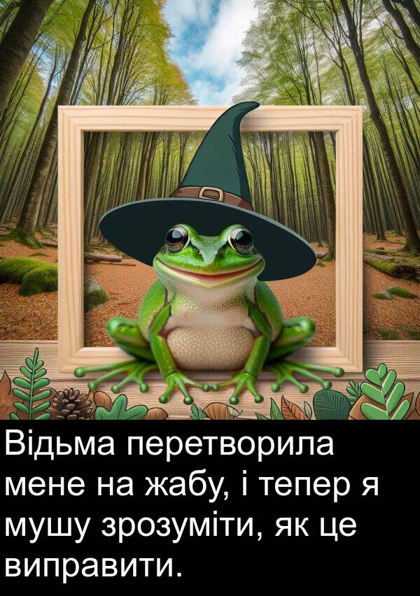 жабу: Відьма перетворила мене на жабу, і тепер я мушу зрозуміти, як це виправити.