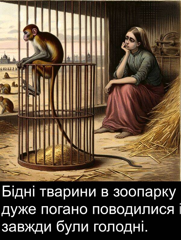 тварини: Бідні тварини в зоопарку дуже погано поводилися і завжди були голодні.