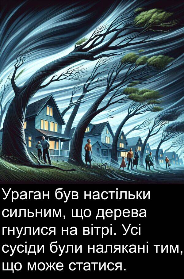 дерева: Ураган був настільки сильним, що дерева гнулися на вітрі. Усі сусіди були налякані тим, що може статися.