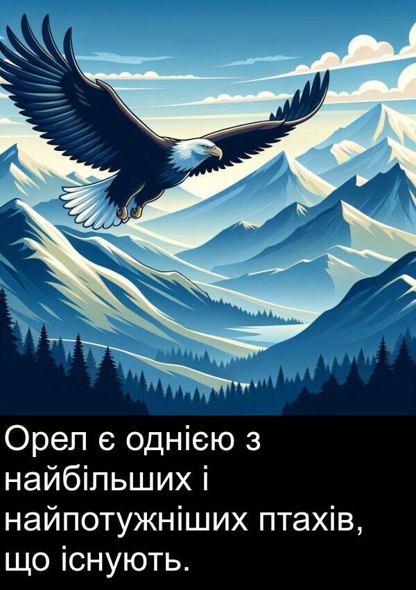 існують: Орел є однією з найбільших і найпотужніших птахів, що існують.