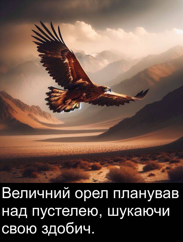 орел: Величний орел планував над пустелею, шукаючи свою здобич.