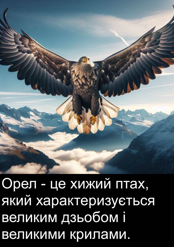 дзьобом: Орел - це хижий птах, який характеризується великим дзьобом і великими крилами.