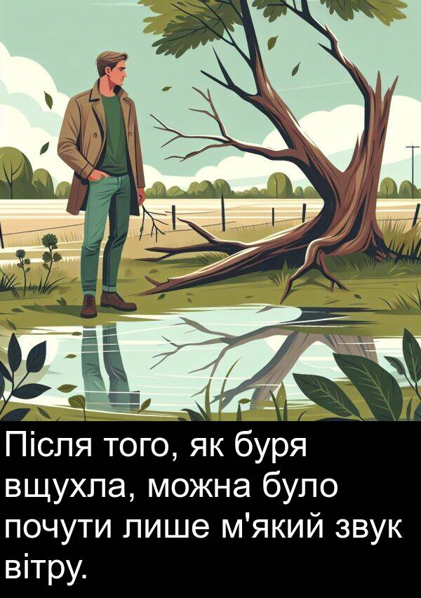 того: Після того, як буря вщухла, можна було почути лише м'який звук вітру.