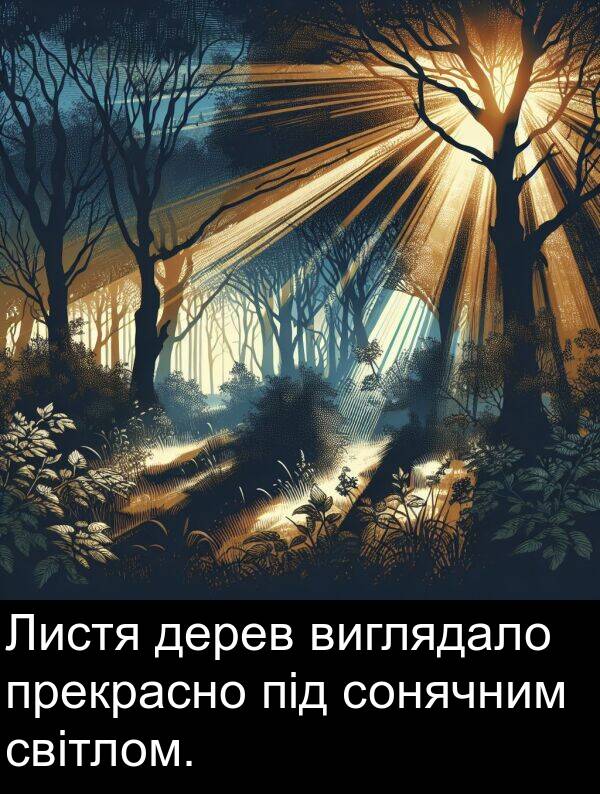 під: Листя дерев виглядало прекрасно під сонячним світлом.