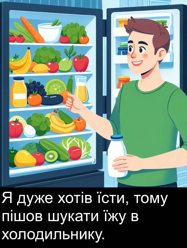 пішов: Я дуже хотів їсти, тому пішов шукати їжу в холодильнику.