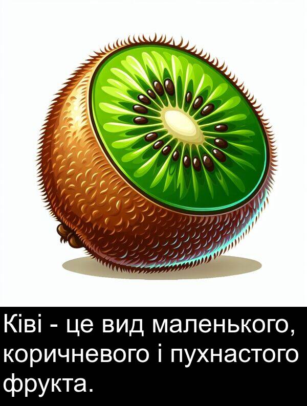 маленького: Ківі - це вид маленького, коричневого і пухнастого фрукта.