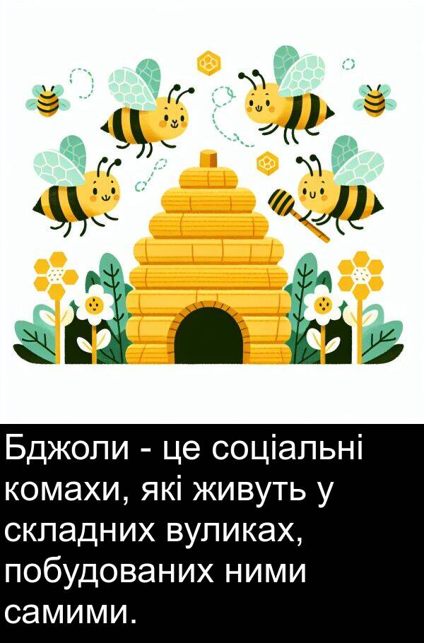 самими: Бджоли - це соціальні комахи, які живуть у складних вуликах, побудованих ними самими.