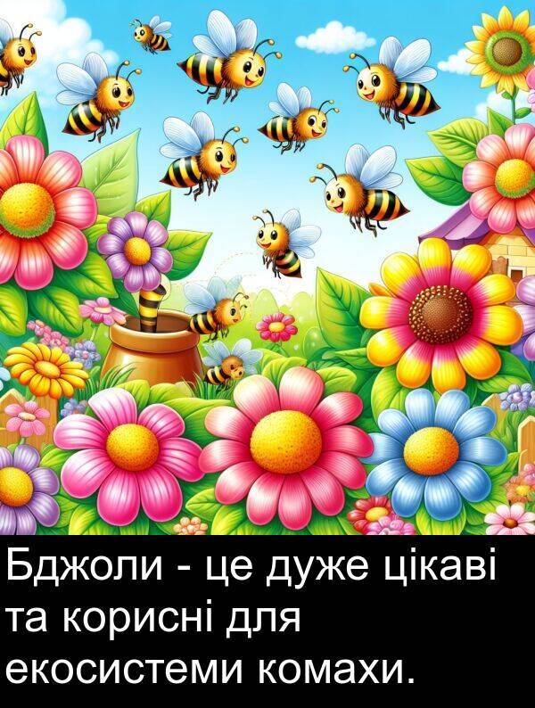 екосистеми: Бджоли - це дуже цікаві та корисні для екосистеми комахи.