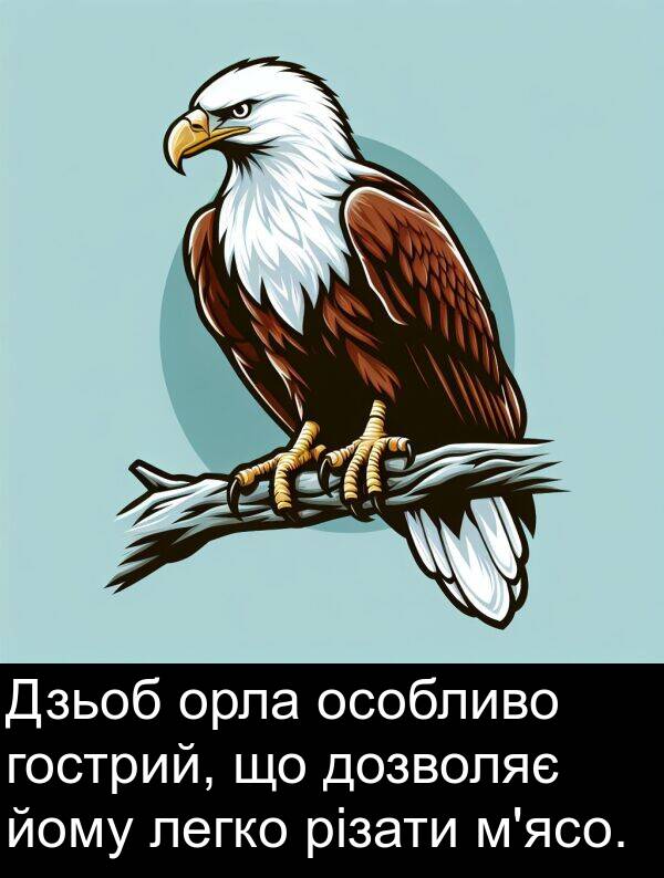різати: Дзьоб орла особливо гострий, що дозволяє йому легко різати м'ясо.