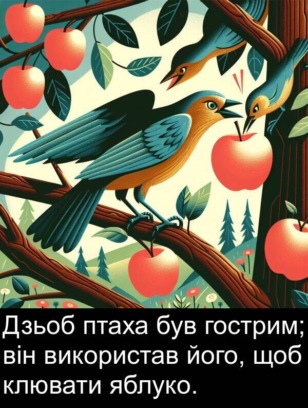 клювати: Дзьоб птаха був гострим; він використав його, щоб клювати яблуко.