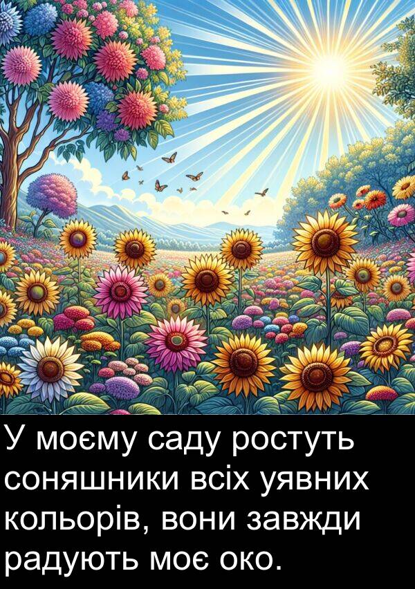 радують: У моєму саду ростуть соняшники всіх уявних кольорів, вони завжди радують моє око.