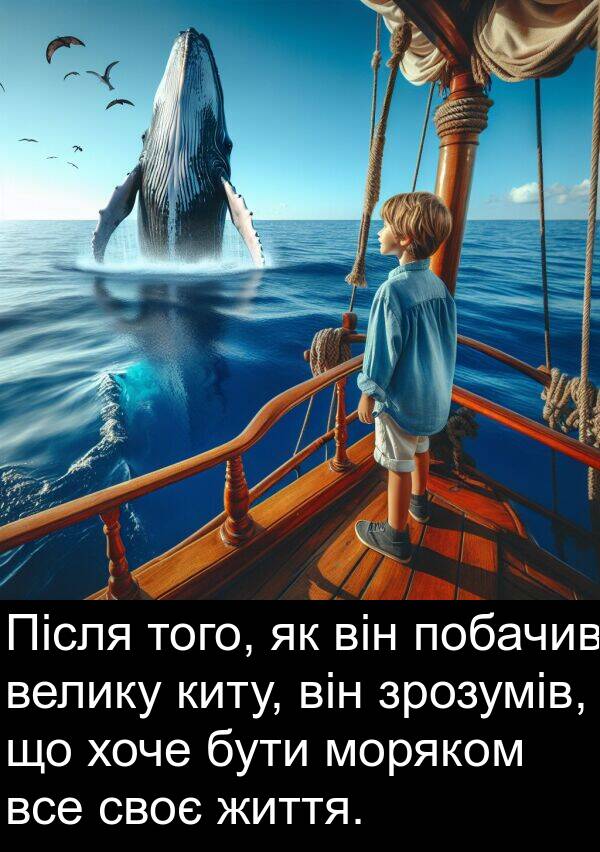 киту: Після того, як він побачив велику киту, він зрозумів, що хоче бути моряком все своє життя.