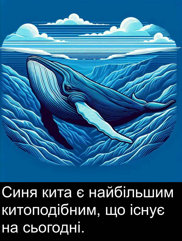 існує: Синя кита є найбільшим китоподібним, що існує на сьогодні.