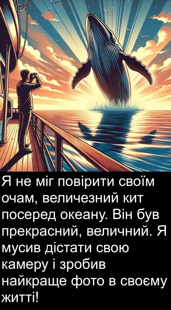 дістати: Я не міг повірити своїм очам, величезний кит посеред океану. Він був прекрасний, величний. Я мусив дістати свою камеру і зробив найкраще фото в своєму житті!