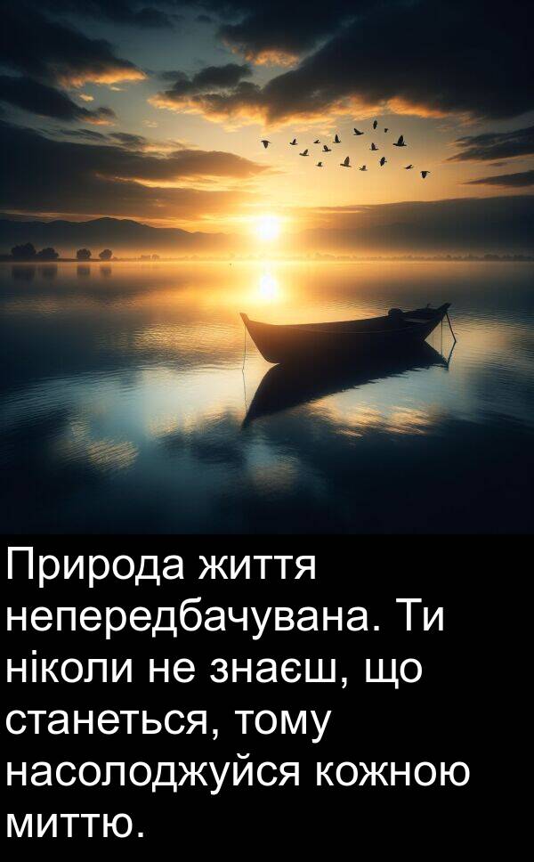 ніколи: Природа життя непередбачувана. Ти ніколи не знаєш, що станеться, тому насолоджуйся кожною миттю.