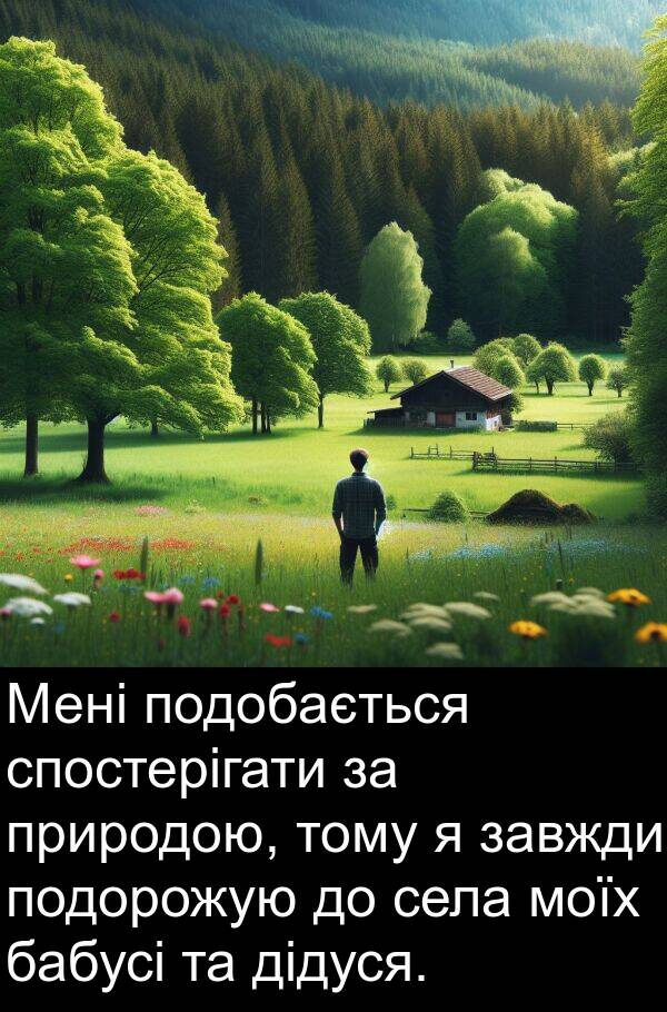 дідуся: Мені подобається спостерігати за природою, тому я завжди подорожую до села моїх бабусі та дідуся.