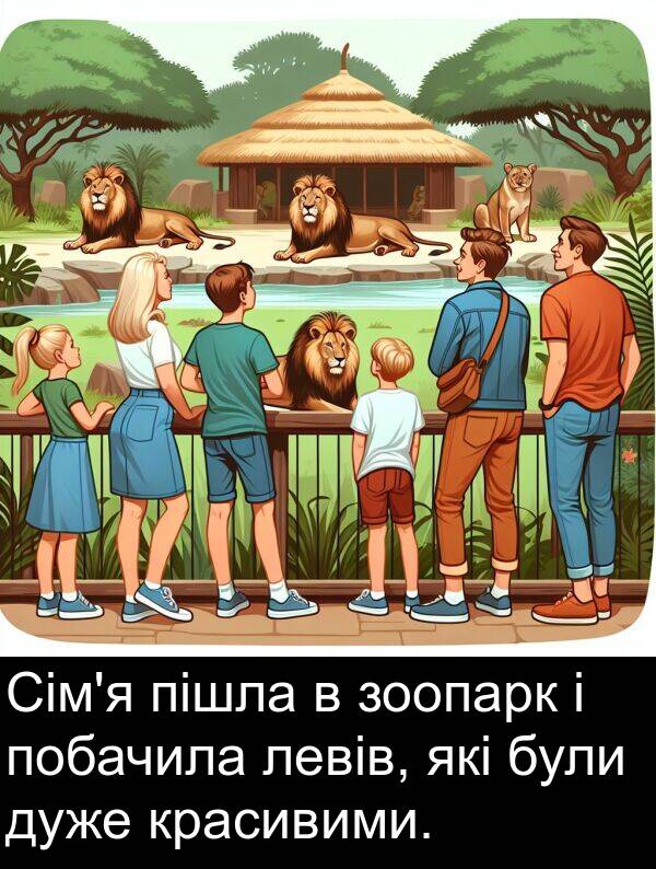 пішла: Сім'я пішла в зоопарк і побачила левів, які були дуже красивими.
