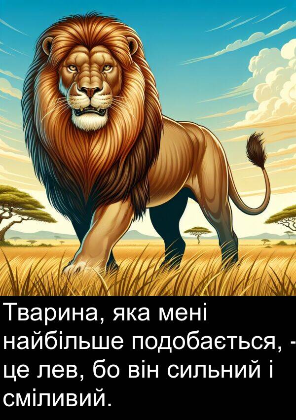 сильний: Тварина, яка мені найбільше подобається, - це лев, бо він сильний і сміливий.