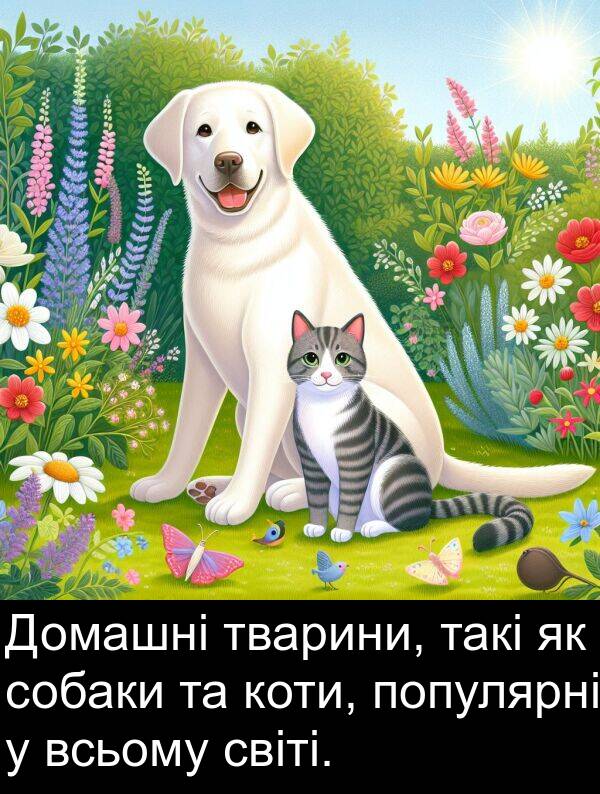 такі: Домашні тварини, такі як собаки та коти, популярні у всьому світі.