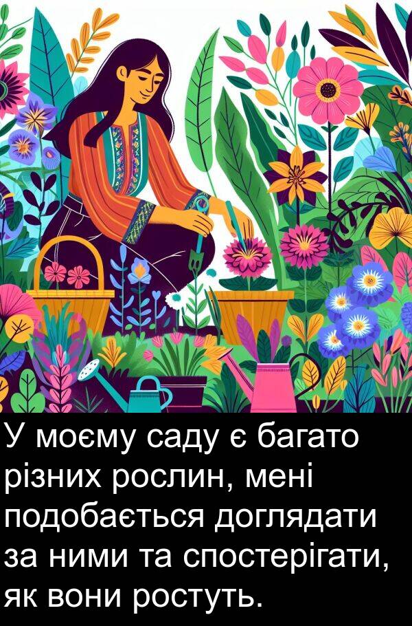 різних: У моєму саду є багато різних рослин, мені подобається доглядати за ними та спостерігати, як вони ростуть.