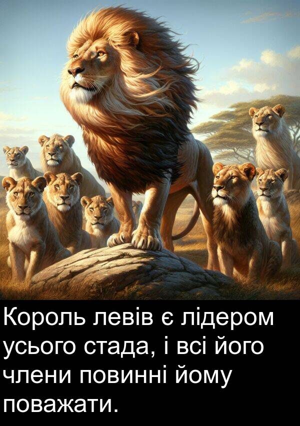 йому: Король левів є лідером усього стада, і всі його члени повинні йому поважати.