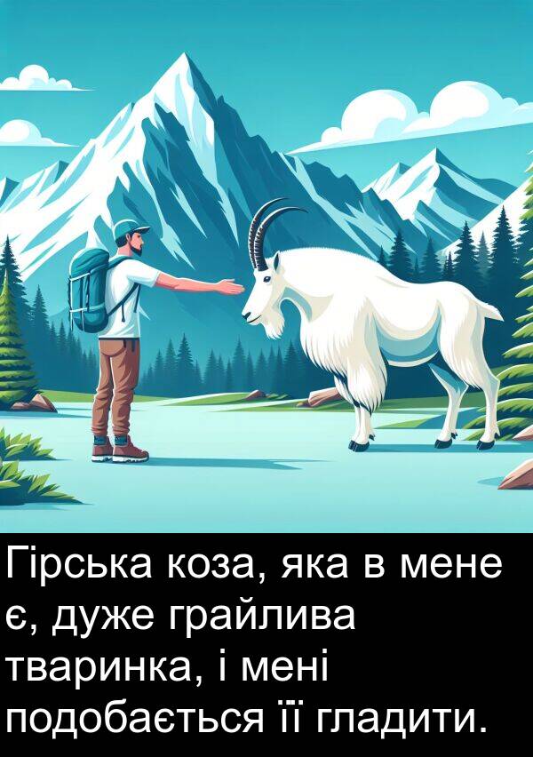 гладити: Гірська коза, яка в мене є, дуже грайлива тваринка, і мені подобається її гладити.