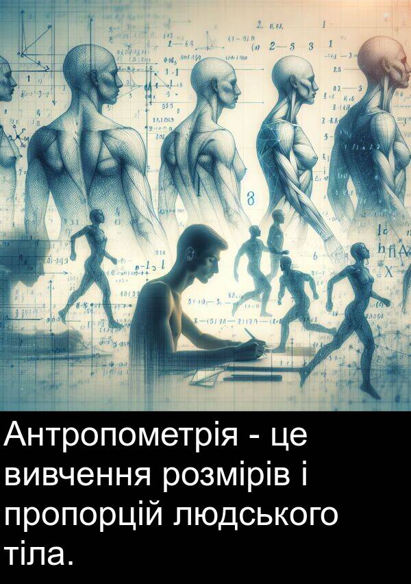 людського: Антропометрія - це вивчення розмірів і пропорцій людського тіла.