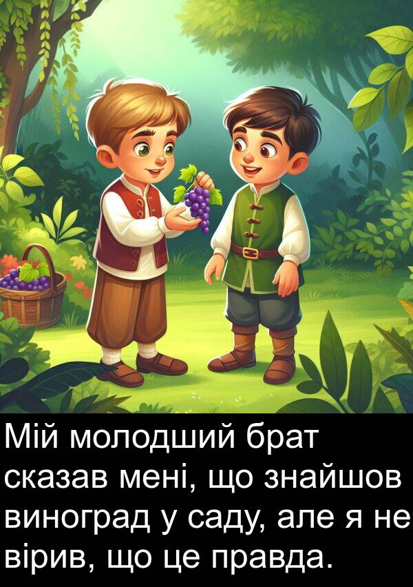 вірив: Мій молодший брат сказав мені, що знайшов виноград у саду, але я не вірив, що це правда.