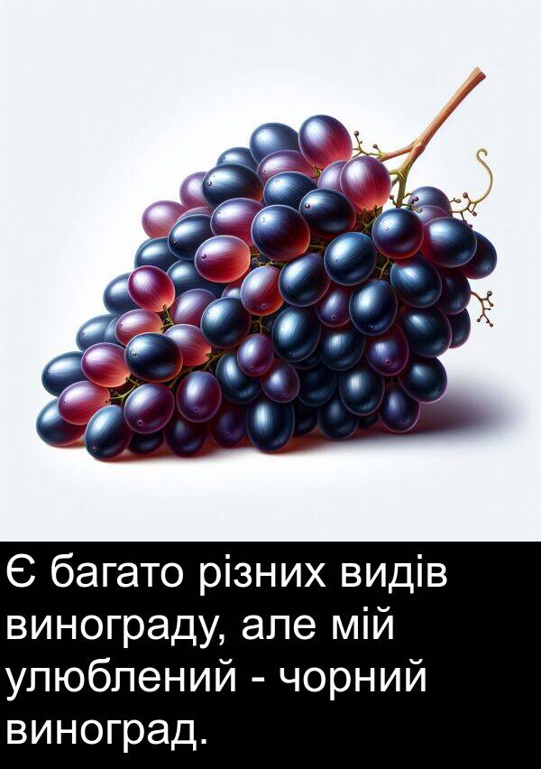 різних: Є багато різних видів винограду, але мій улюблений - чорний виноград.