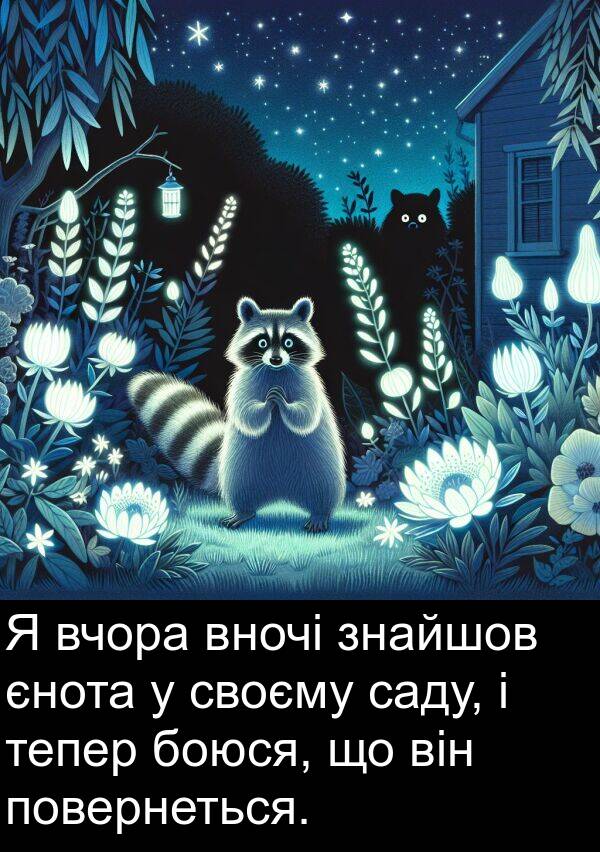 єнота: Я вчора вночі знайшов єнота у своєму саду, і тепер боюся, що він повернеться.