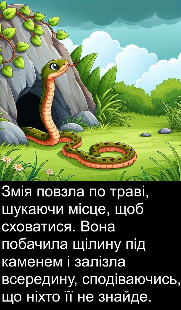 місце: Змія повзла по траві, шукаючи місце, щоб сховатися. Вона побачила щілину під каменем і залізла всередину, сподіваючись, що ніхто її не знайде.