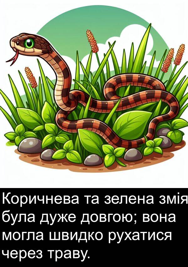 швидко: Коричнева та зелена змія була дуже довгою; вона могла швидко рухатися через траву.