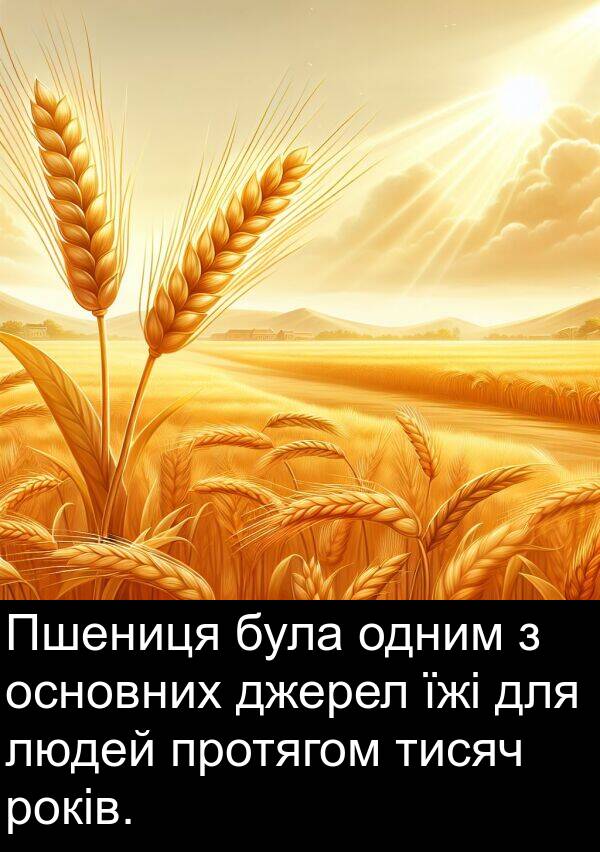 джерел: Пшениця була одним з основних джерел їжі для людей протягом тисяч років.