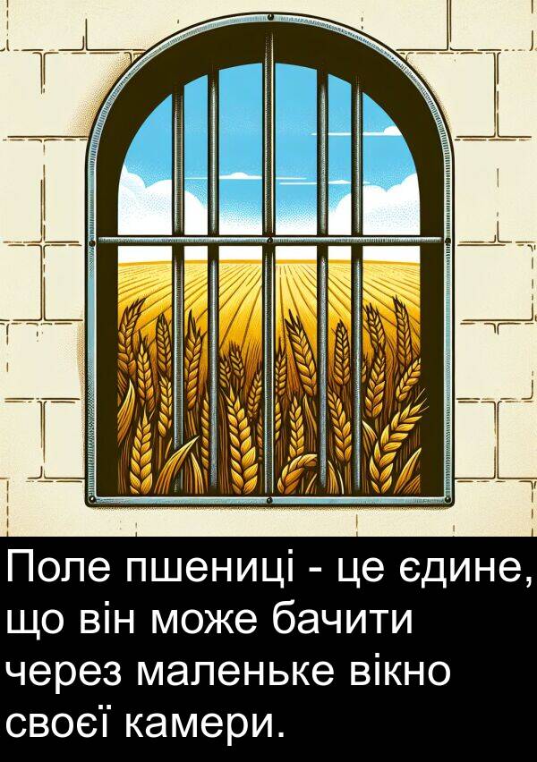 маленьке: Поле пшениці - це єдине, що він може бачити через маленьке вікно своєї камери.