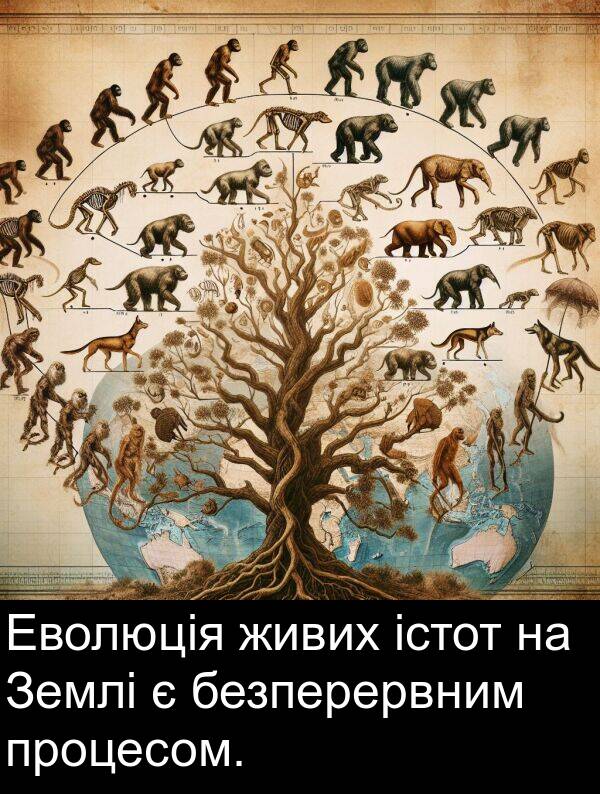 живих: Еволюція живих істот на Землі є безперервним процесом.