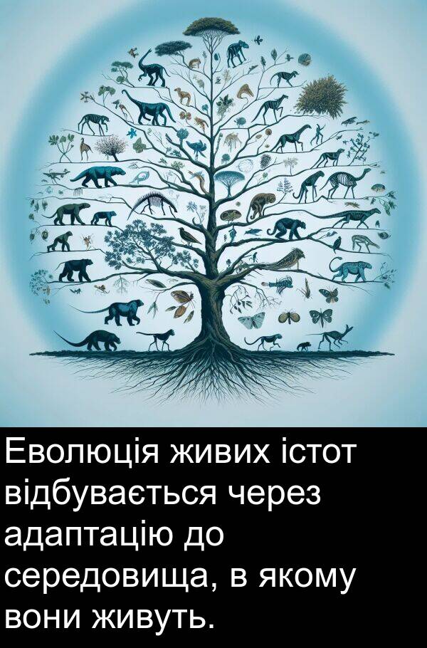 адаптацію: Еволюція живих істот відбувається через адаптацію до середовища, в якому вони живуть.