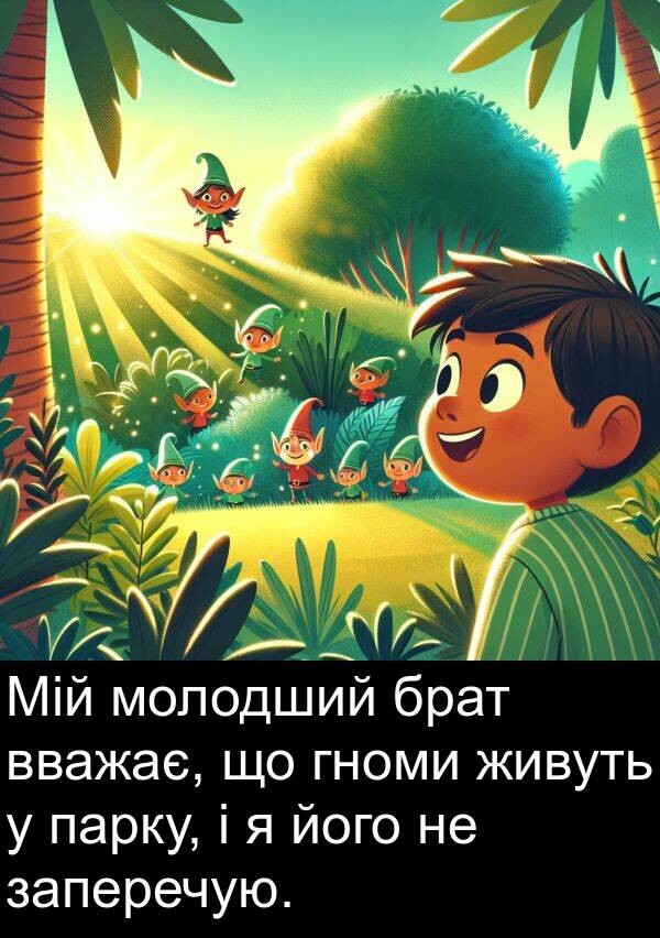 парку: Мій молодший брат вважає, що гноми живуть у парку, і я його не заперечую.
