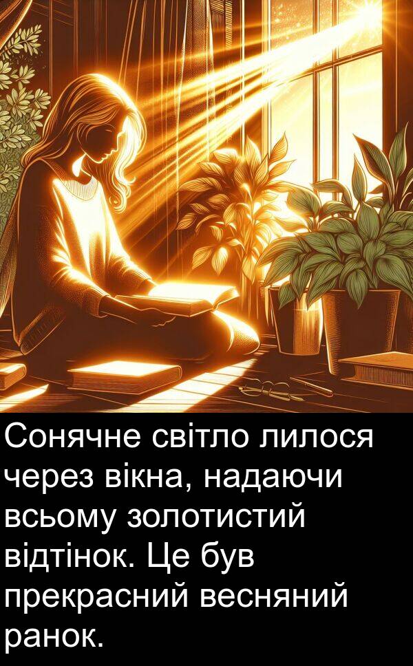 ранок: Сонячне світло лилося через вікна, надаючи всьому золотистий відтінок. Це був прекрасний весняний ранок.