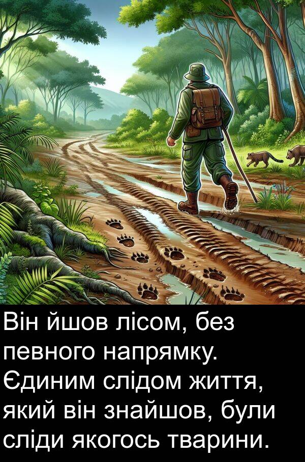 йшов: Він йшов лісом, без певного напрямку. Єдиним слідом життя, який він знайшов, були сліди якогось тварини.