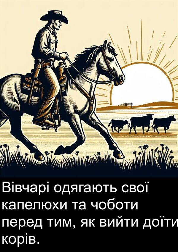 одягають: Вівчарі одягають свої капелюхи та чоботи перед тим, як вийти доїти корів.