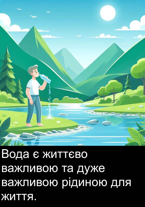 рідиною: Вода є життєво важливою та дуже важливою рідиною для життя.