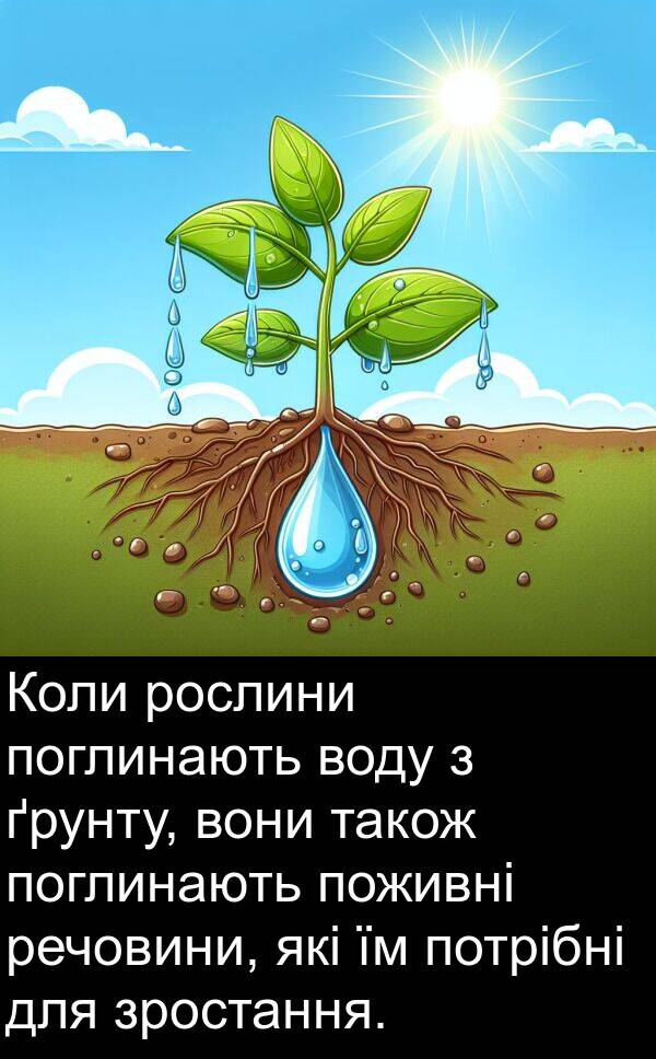 речовини: Коли рослини поглинають воду з ґрунту, вони також поглинають поживні речовини, які їм потрібні для зростання.