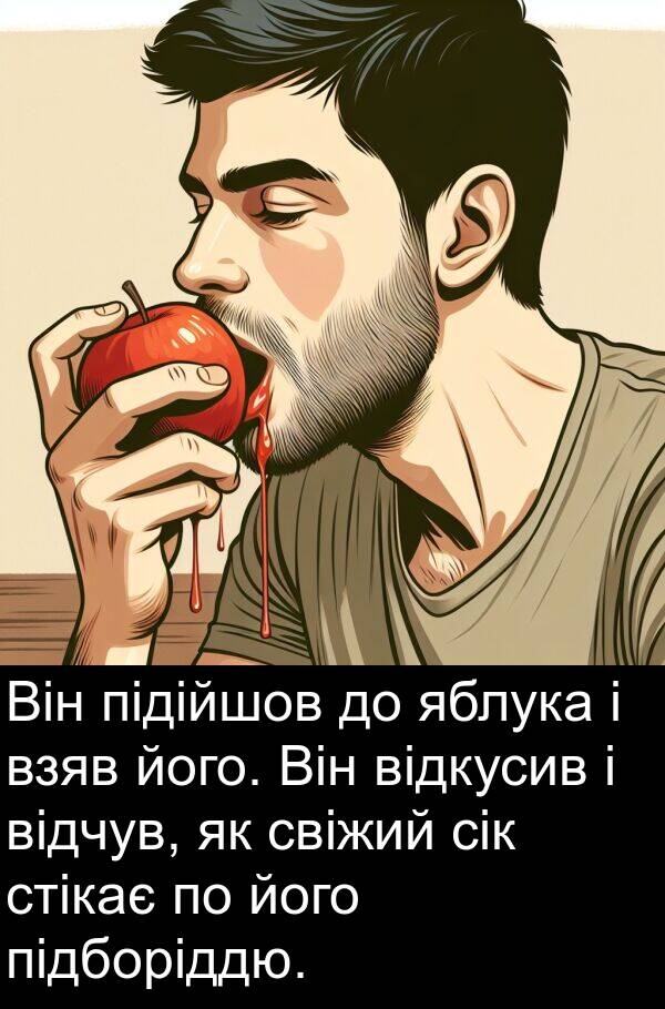 підборіддю: Він підійшов до яблука і взяв його. Він відкусив і відчув, як свіжий сік стікає по його підборіддю.