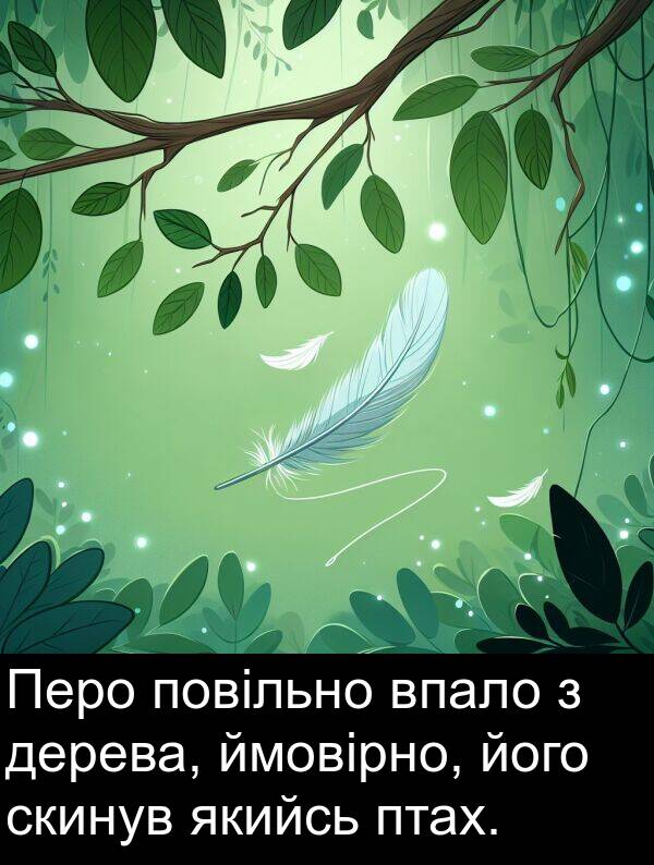 дерева: Перо повільно впало з дерева, ймовірно, його скинув якийсь птах.