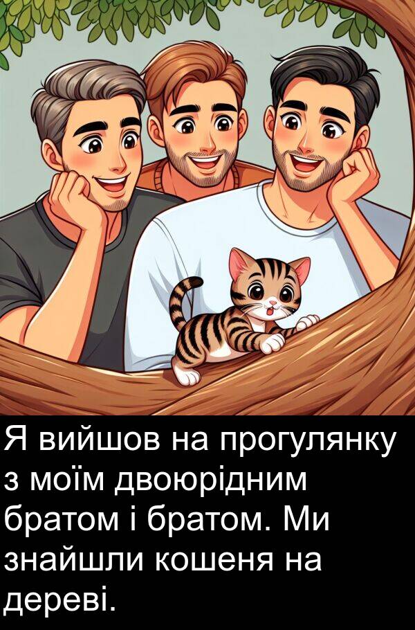 дереві: Я вийшов на прогулянку з моїм двоюрідним братом і братом. Ми знайшли кошеня на дереві.