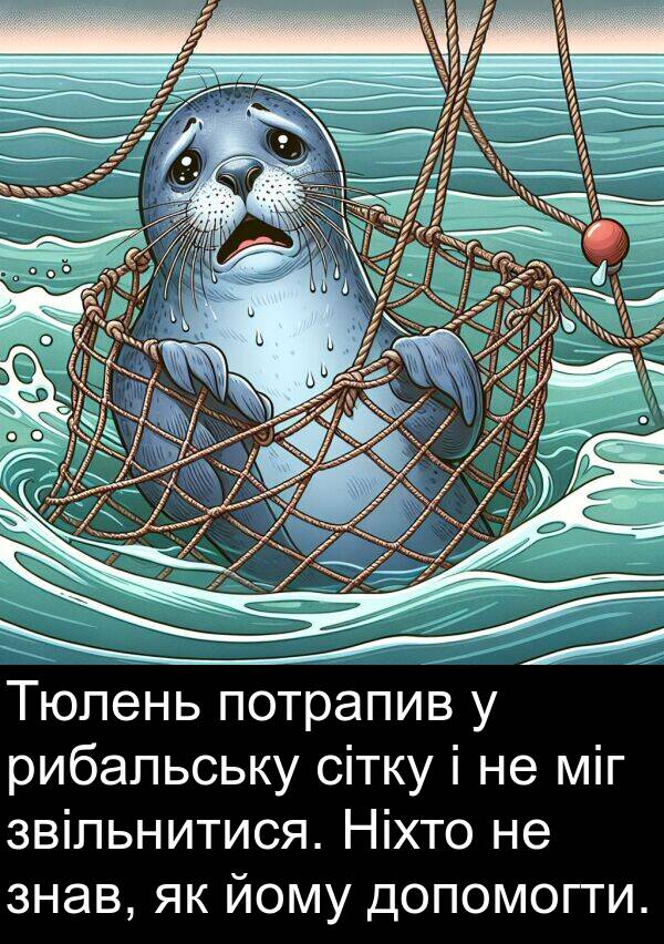 міг: Тюлень потрапив у рибальську сітку і не міг звільнитися. Ніхто не знав, як йому допомогти.