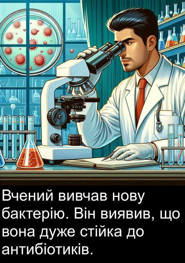 антибіотиків: Вчений вивчав нову бактерію. Він виявив, що вона дуже стійка до антибіотиків.