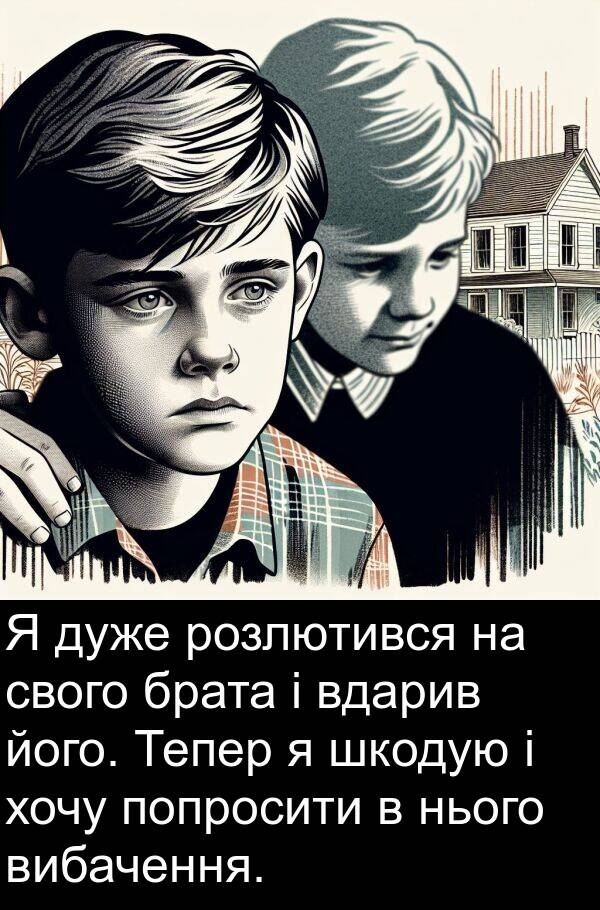 шкодую: Я дуже розлютився на свого брата і вдарив його. Тепер я шкодую і хочу попросити в нього вибачення.